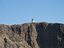 %_tempFileName2012-09-15_0_Anacapa_Island-6%