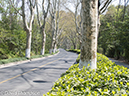 %_tempFileName2013_04_02_Nanjing-39%