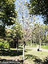 %_tempFileName2013_04_02_Nanjing-43%