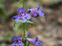 %_tempFileName2014-06-25_01_RMNP_Round_Mountain-64%