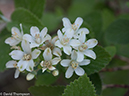 %_tempFileName2014-06-28_01_RMNP_Gem_Lake-6281345%