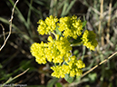 %_tempFileName2014-06-28_01_RMNP_Gem_Lake-6281346%