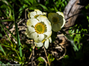 %_tempFileName2014-06-29_01_RMNP_Blue_Lake-6291381%