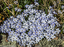 %_tempFileName2014-06-29_01_RMNP_Blue_Lake-6291403%