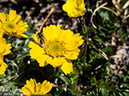 %_tempFileName2014-06-29_01_RMNP_Blue_Lake-6291412%