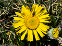 %_tempFileName2014-06-29_01_RMNP_Blue_Lake-6291414%