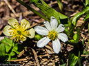 %_tempFileName2014-06-29_01_RMNP_Blue_Lake-6291425%