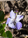 %_tempFileName2014-06-30_01_RMNP_Emerald_Lake-6301452%