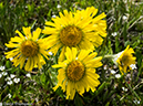 %_tempFileName2014-07-02_01_RMNP_Lawn_Lake_Backpack-7021517%