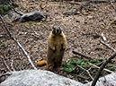 %_tempFileName2014-07-02_01_RMNP_Lawn_Lake_Backpack-7021522%