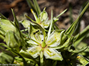 %_tempFileName2014-07-05_01_RMNP_Twin_Sisters-7051665%