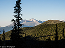 %_tempFileName2014-07-07_01_RMNP_Dunraven_Dickinson-7071682%