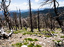 %_tempFileName2014-07-07_01_RMNP_Dunraven_Dickinson-7071732%