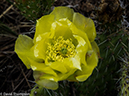 %_tempFileName2014-07-31_01_RMNP_Gem_Lake_Balanced_Rock-7311251%