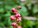 %_tempFileName2014-08-01_01_RMNP_Black_Lake-8011284%