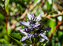 %_tempFileName2014-08-03_01_RMNP_Chasm_Lake-8031304%