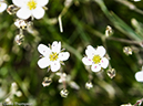 %_tempFileName2014-08-04_01_RMNP_Ute_Trail_Tombstone_Ridge-8041326%