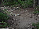 %_tempFileName2014-08-09_01_RMNP_Bluebird_Lake-8091360%