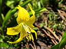 %_tempFileName2014-08-09_01_RMNP_Bluebird_Lake-8091396%