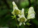 %_tempFileName2014-08-09_01_RMNP_Bluebird_Lake-8091405%