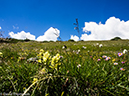 %_tempFileName2014-08-15_01_Indian_Peaks_Wilderness_Niwot_Ridge-8151460%