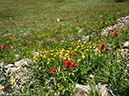 %_tempFileName2014-08-17_01_Georgetown_Grays_and_Torreys_Peaks-8171526%