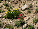 %_tempFileName2014-08-17_01_Georgetown_Grays_and_Torreys_Peaks-8171527%