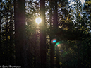 %_tempFileName2014-08-18_01_Leadville_Mount_Elbert-8181532%
