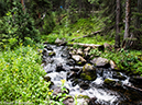 %_tempFileName2014-08-19_01_RMNP_Timber_Lake-8201567%