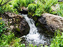 %_tempFileName2014-08-19_01_RMNP_Timber_Lake-8201570%