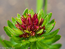 %_tempFileName2014-08-19_01_RMNP_Timber_Lake-8201592%