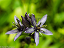 %_tempFileName2014-08-19_01_RMNP_Timber_Lake-8201600%