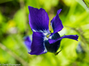 %_tempFileName2014-08-19_01_RMNP_Timber_Lake-8201601%
