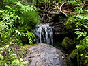 %_tempFileName2014-08-19_01_RMNP_Timber_Lake-8201603%