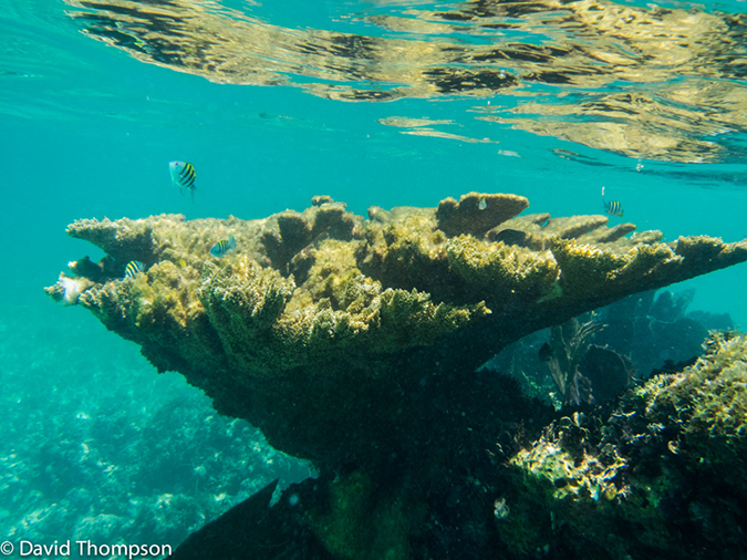 %_tempFileName2014-07-25_04_Isla_Mujeres_Snorkeling-7250839%