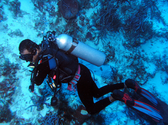 Diving Santal Rosa Wall  (3)