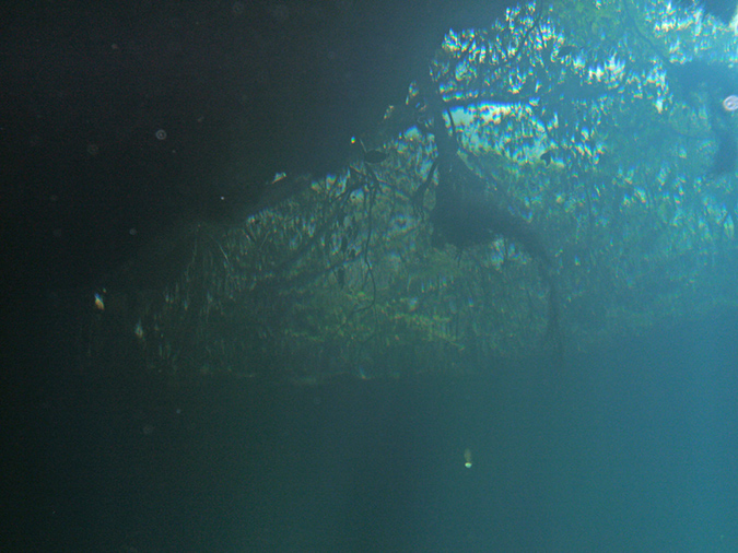 Cenote Angelita 8