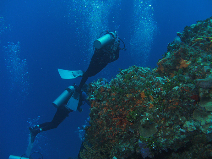 Diving Plancar Caves Stephen