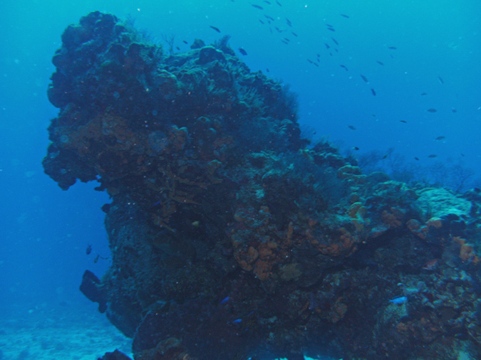 Diving Paso del Cedral Reef