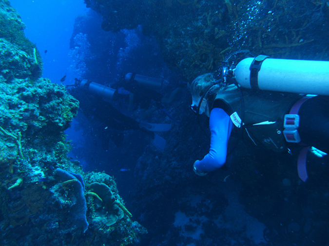 Diving Santal Rosa Wall  (1)