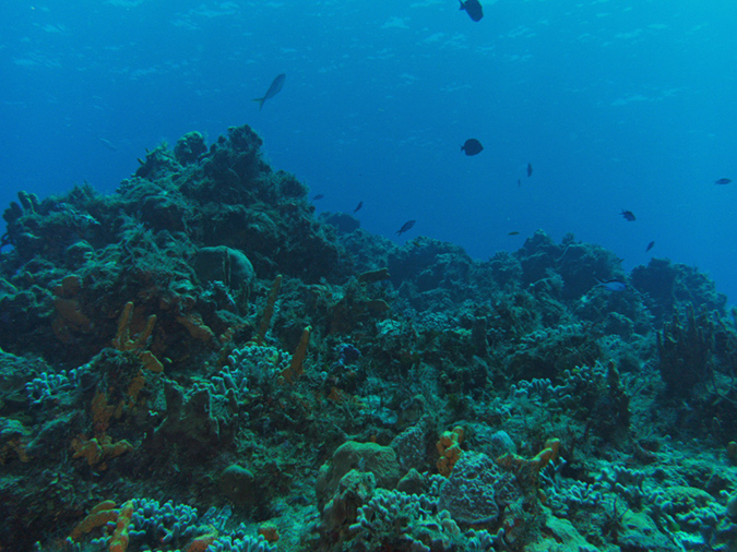 Diving Plancar Caves (2)