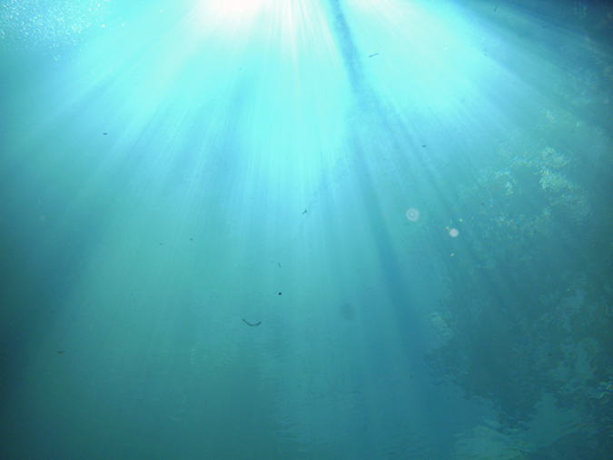 Cenote Angelita 9