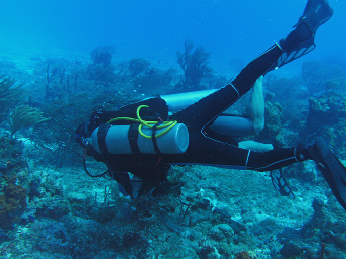 Diving Chankanaab Reef