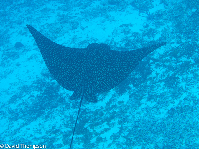 %_tempFileName2012-12-02_1_Planacar_Gardens-26%