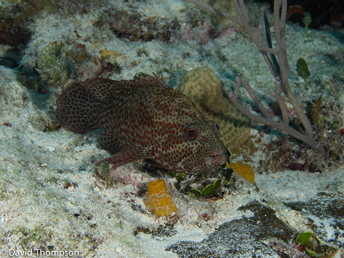 %_tempFileName2012-12-02_1_Planacar_Gardens-33%
