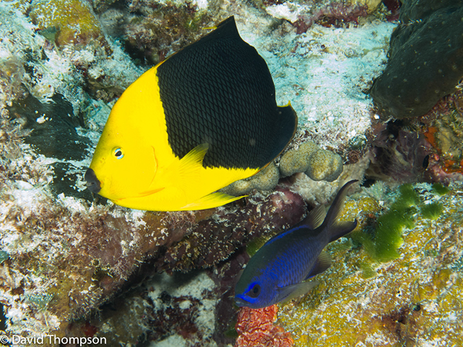 %_tempFileName2012-12-03_1_Planacar_Caves-29%