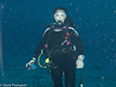 %_tempFileName2012-12-02_3_Paradise_Reef-71%