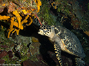 %_tempFileName2012-12-03_1_Planacar_Caves-15%
