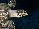 %_tempFileName2012-12-03_1_Planacar_Caves-18%