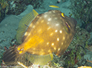 %_tempFileName2012-12-03_1_Planacar_Caves-21%